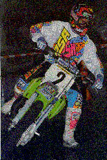 PSA und Nielsen.jpg (24337 Byte)